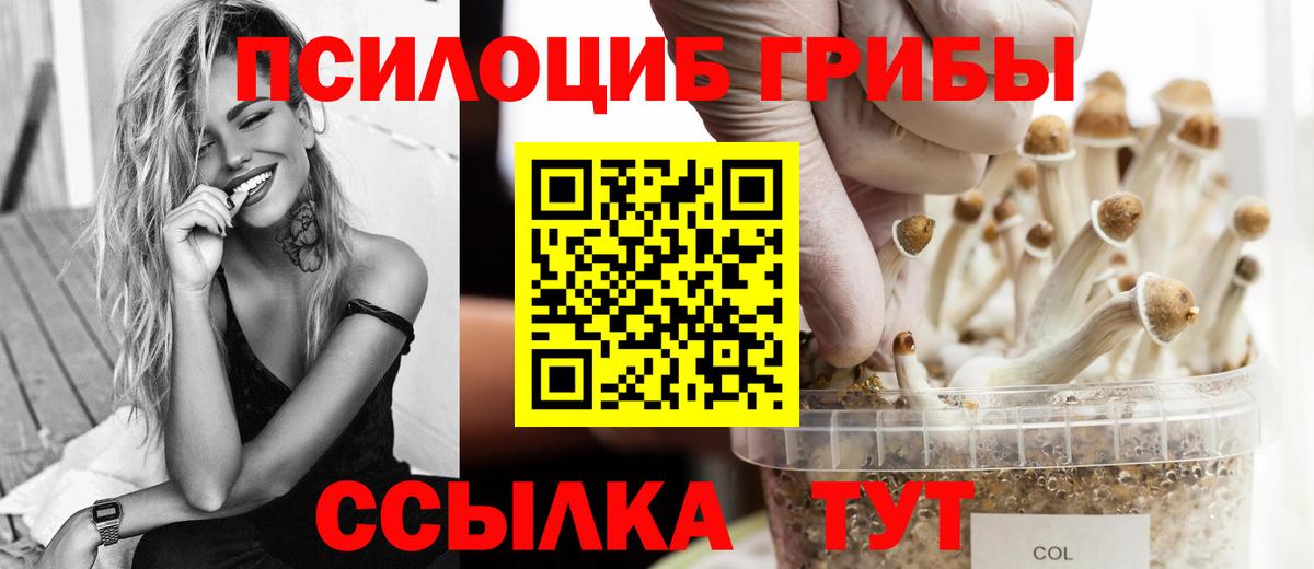 Галлюциногенные грибы Cubensis Рассказово